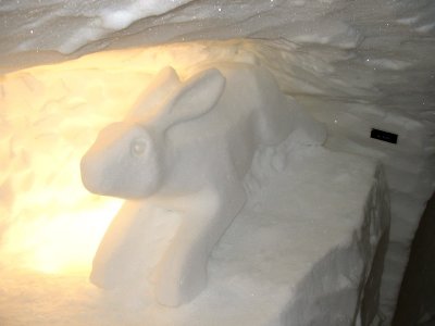Hare in the Grotte de Glace
