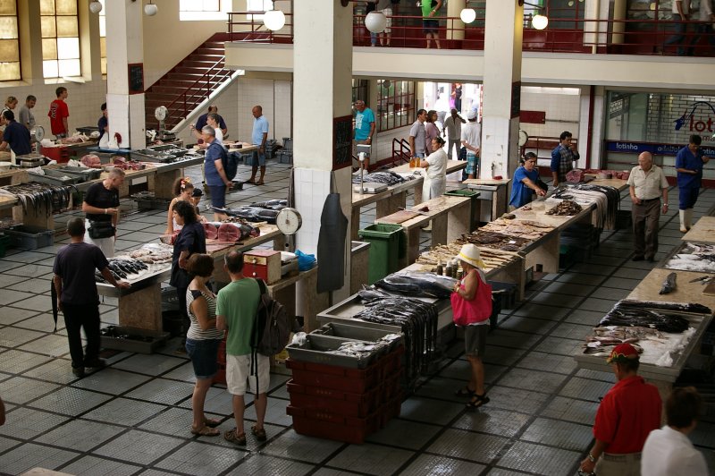 Inside the Fish Market