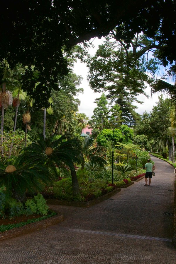View of the grounds