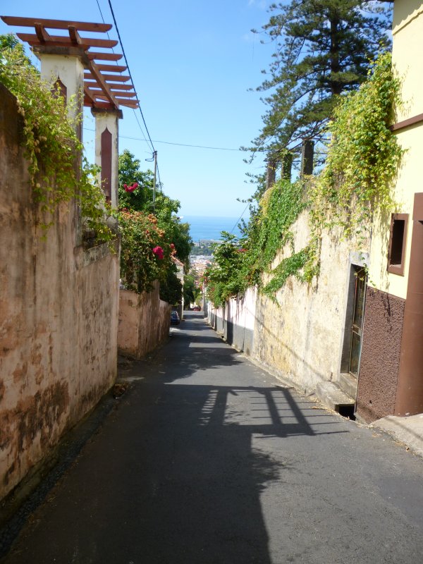 Steep roads back to centre of Funchal